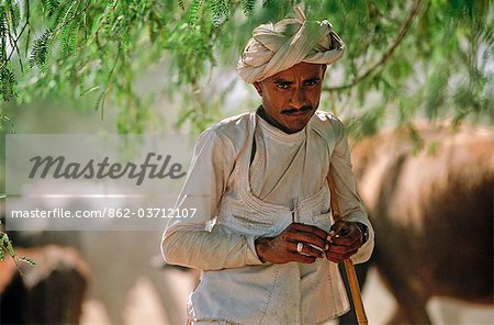 Nomadic, Rabari tribesman, State of Rajasthan, India