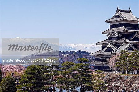 Matsumoto Castle and moat,pine trees,spring cherry tree blossom and snow capped mountains