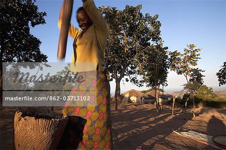 Malawi, Lilongwe, Ntchisi Forest Reserve. Grinding millet with an oversized wooden pestle and mortar.