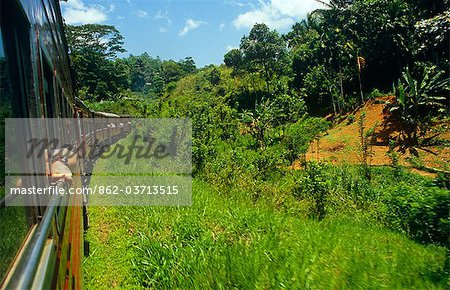 Sri Lanka, Central Highlands. The Kandy to Badulla Railway passes countryside ranging from tropical forests to vast tea gardens.