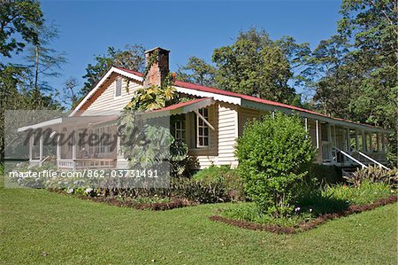 Kenya, One of the attractive cottages at Rondo Retreat, a beautiful old-style tourist lodge in the heart of the Kakamega Forest.