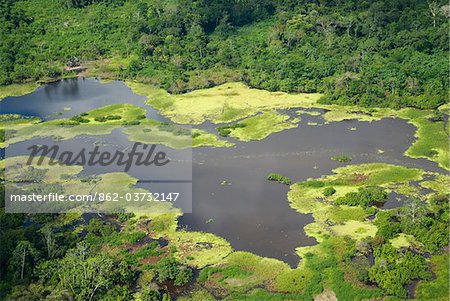 Aerial View of the rainforest near Iquitos, Peru