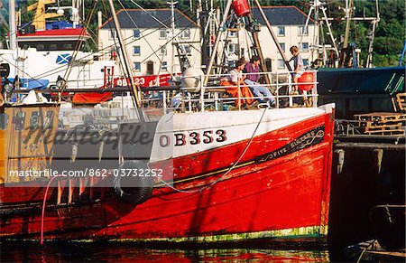 Fishing Fleet In Mallaig Harbour Scotland Stock Photo