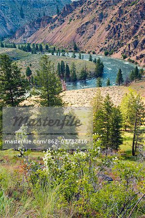 Middle Fork of the Salmon River at Camas Creek, Frank Church Wilderness, State of Idaho, U.S.A.