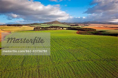 Kenya,Timau. Rolling wheat farms at Timau, 8,500 feet above sea level, looking towards cloud-covered Mount Kenya.