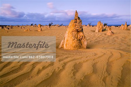Australia, Western Australia, Cervantes, Nambung National Park.  Limestone pillars of the Pinnacles Desert at sunrise.