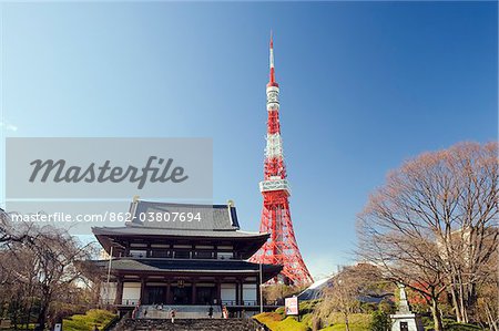 Asia, Japan, Tokyo, Zozoji (Zozo ji) temple and Tokyo tower