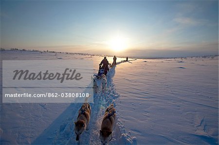 Norway, Finnmark Region. Dog sledding in the Arctic Circle