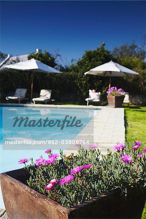 Swimming pool at River Bend Lodge, Addo Elephant Park, Eastern Cape, South Africa