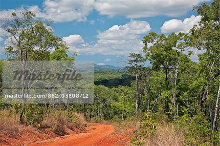 A view of the hills and indigenous forest in the low-lying Kilombero Valley of Tanzania s Southern Highlands.