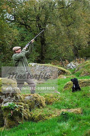North Wales, Snowdonia ; Gilar Farm. A man with his dog out shooting.