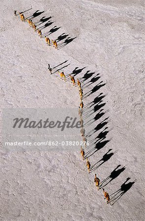 An Afar camel caravan crosses the salt flats of Lake Assal, Djibouti, as shadows lengthen in the late afternoon sun. At 509 feet below sea level, Lake Assal is the lowest place in Africa.Extremely high midday temperatures, which can surpass 120 Fahrenheit.The salt is sold across the border in Ethiopia.