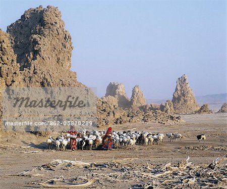 Lake Abbe, on the border of Djibouti and Ethiopia, is the last in a line of alkaline lakes in which the Awash River dissipates. The jagged pinnacles and spires close to the lake were formed thousands of years ago when volcanic gases bubbled up through the bottom of an ancient lake that was 100 feet deeper than it is today.Livestock belonging to the nomadic Afar people graze this harsh, windswept r