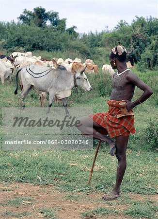 A Dassanech man stands on one leg in typical pose while looking after his familys cattle in the Omo Delta, one of the largest inland deltas in the world. The extensive scarification on his chest and shoulders denotes that he has killed an enemy.They practice animal husbandry and fishing as well as agriculture.