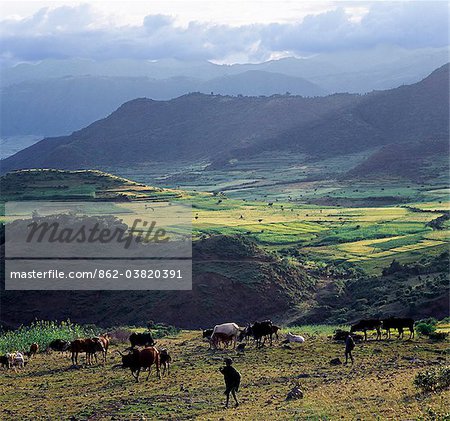 A view of spectacular mountain scenery between Senbete and Kombolcha.Ethiopia is a land of vast horizons and dramatic scenery. The weathered mountains in the Ethiopian Highlands exhibit layer upon layer of volcanic material, which built the plateau into Africas most extensive upland region.