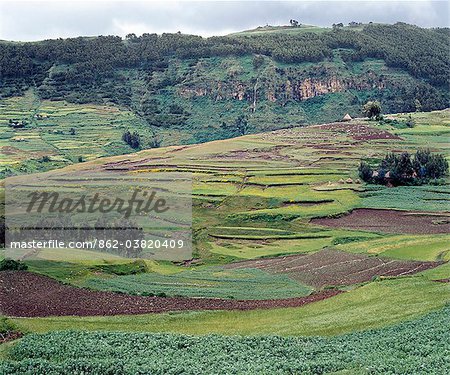 Terraced cultivation on a ledge of the western scarp of the Abysinnian Rift Valley at Ankober.Ethiopia is a land of vast horizons and dramatic scenery. The weathered mountains in the Ethiopian Highlands exhibit layer upon layer of volcanic material, which built the plateau into Africas most extensive upland region.