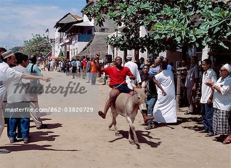 A donkey race is held on Lamu Island as part of the celebrations to mark the birthday of the Prophet Mohamed.This man was the winner of the 2005 competition. Maulidi is a joyous event in Lamu and attracts pilgrims from all over East Africa and sometimes farther afield.