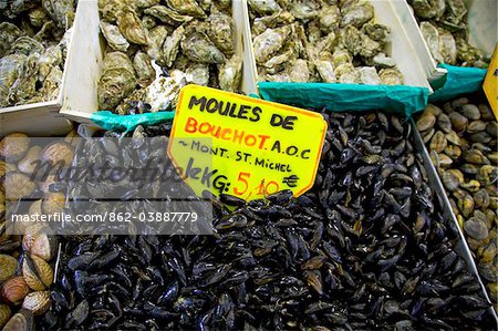 Marseille, Provence, France; Different types of Seafood on display in the fish market