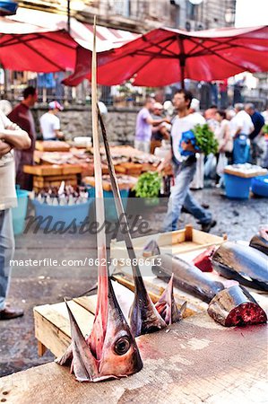 Sword fish, fish market, La Pescheria, Catania, Sicily, Italy