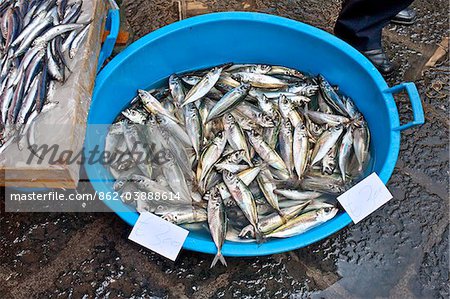 Fish market, La Pescheria, Catania, Sicily, Italy
