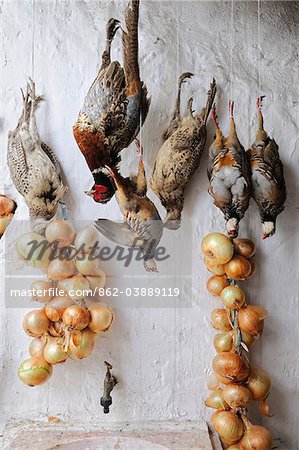 Partridges and pheasants after a hunting-party, Alentejo, Portugal