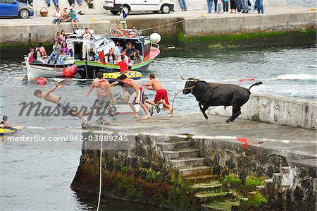 People flee the bull in a bullfight (tourada a corda) at Porto Martins. Terceira, Azores islands, Portugal