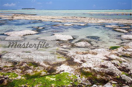 Zanzibar, Matemwe. Mnemba Island is seen in the distance, across the rock pools revealed by the low tide.