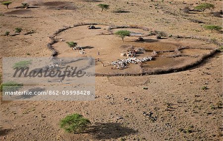 A traditional homestead of a Samburu family.  The Samburu are semi-nomadic pastoralists who live in northern Kenya.