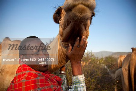 Isiolo, Northern Kenya.  A traditional Somali pastoralist with a camel in his Boma.