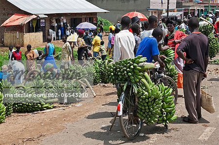 A roadside market with large quantities of green bananas, matoke, for sale, Uganda, Africa