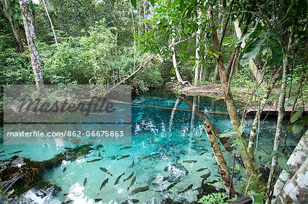 Natural pool in the capital of Brazil 