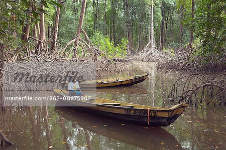 South America, Brazil, Para, Amazon, Marajo island, local fishermen with wooden canoes in red mangrove forest near Soure