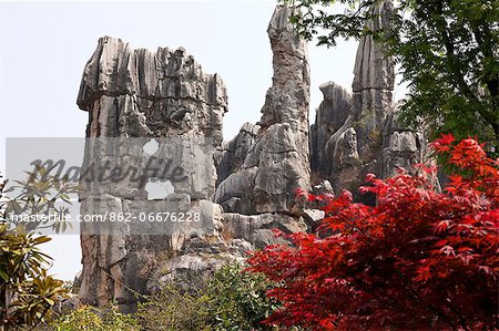 China, Yunnan, Kunming.  The Stone Forest near Kunming.