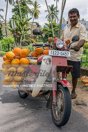 A man sells coconuts from his old motorcycle by the side of the road, Sri Lanka