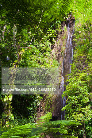 Dominica, Roseau. Waterfall at Papillote Wilderness Retreat. Dominica, Roseau. Waterfall at Papillote Wilderness Retreat.