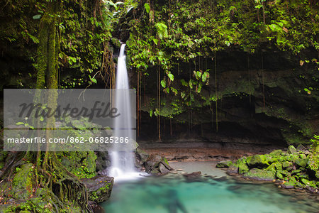 Dominica, Castle Bruce. Emerald Pool, one of the most popular tourist attractions of Dominica. Dominica, Castle Bruce. Emerald Pool, one of the most popular tourist attractions of Dominica.