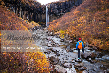 Europe, Iceland, Skaftafell National Park, Svartifoss waterfall (MR)