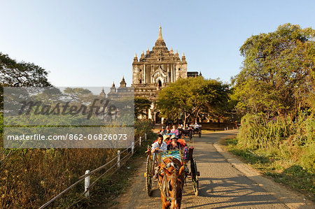 Myanmar, Burma, Mandalay Region, Bagan. Often used by tourists to visit Bagan's pagoda-dotted plain, a pony and trap pass by Thatbyinnyu Paya, or pagoda, which at around 200ft/61m high is the tallest in Bagan.