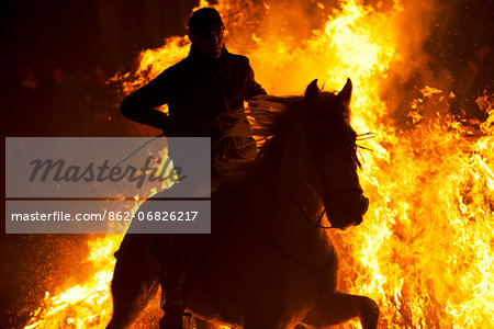 Spain, Castille & Leon, Avila, San Bartolome de Pinares, Men and horses jumping through fire on the eve of the feast of San Antonio, as a tradition to purify the animals.