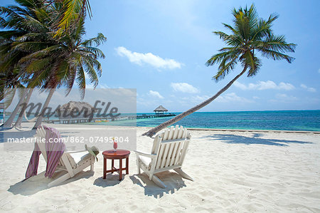 Central America, Belize, Ambergris Caye, San Pedro, sun lounger chairs anda cocktail on the beach with coconut palms and the Caribbean sea in southern San Pedro