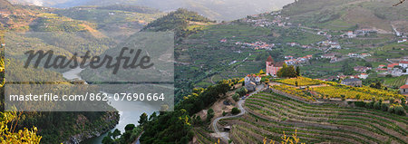 Barqueiros, over the Douro river is in a very good region to produce wine. Portugal