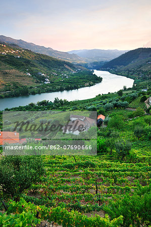 The Douro river and the terraced vineyards of the Port wine near Mesao Frio. A Unesco World Heritage site, Portugal The Douro river and the terraced vineyards of the Port wine near Mesao Frio. A Unesco World Heritage site, Portugal