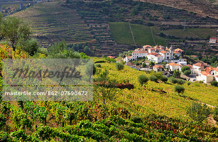 Vineyards in Vilarinho dos Freires, Santa Marta de Penaguiao. Alto Douro, a Unesco World Heritage Site. Portugal