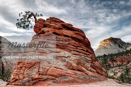 U.S.A., Utah, Zion National Park