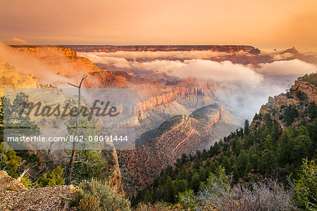 Foggy sunrise in the south rim, Grand Canyon National Park, Arizona, USA