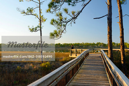 USA, Florida, Franklin County, Gulf of Mexico, Apalachicola, St. George Island State Park, woman on nature boardwalk, MR 0009