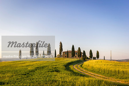 Val d'Orcia, Tuscany, Italy. A lonely farmhouse with cypress trees standing in line in foreground.