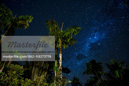 South America, Peru, Amazonia, South Manu National Park , night sky, UNESCO World Heritage South America, Peru, Amazonia, South Manu National Park , night sky, UNESCO World Heritage