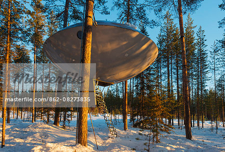Arctic Circle, Lapland, Scandinavia, Sweden, The Tree Hotel, The UFO room