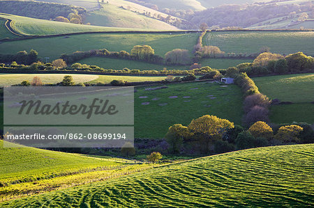 England, South Devon. Rolling pastoral landscape of the South Hams region.